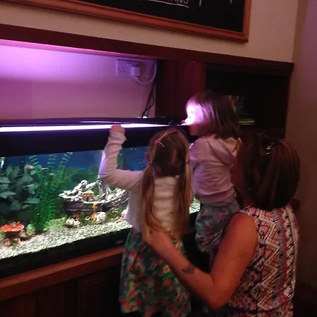 Leitrim Marina Hotel Carrick on Shannon